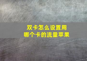 双卡怎么设置用哪个卡的流量苹果