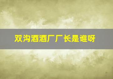 双沟酒酒厂厂长是谁呀