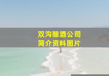 双沟酿酒公司简介资料图片