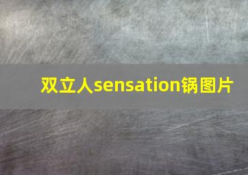 双立人sensation锅图片