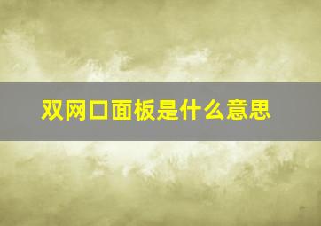 双网口面板是什么意思