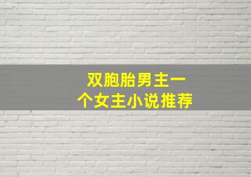 双胞胎男主一个女主小说推荐