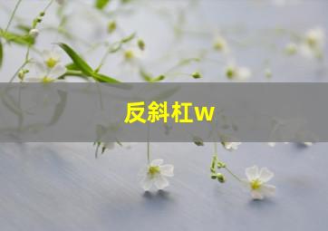 反斜杠w