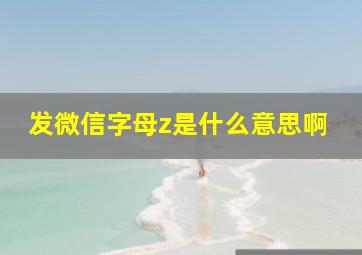 发微信字母z是什么意思啊