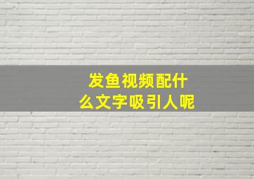 发鱼视频配什么文字吸引人呢