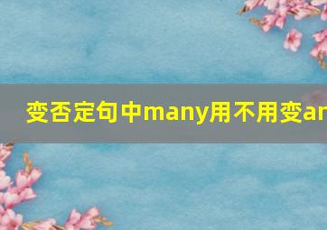 变否定句中many用不用变any