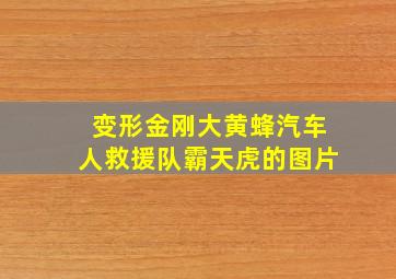 变形金刚大黄蜂汽车人救援队霸天虎的图片