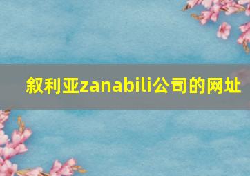 叙利亚zanabili公司的网址