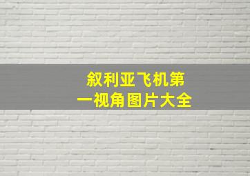 叙利亚飞机第一视角图片大全