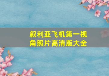 叙利亚飞机第一视角照片高清版大全