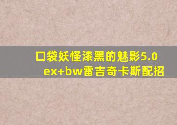 口袋妖怪漆黑的魅影5.0ex+bw雷吉奇卡斯配招