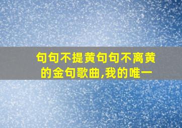 句句不提黄句句不离黄的金句歌曲,我的唯一