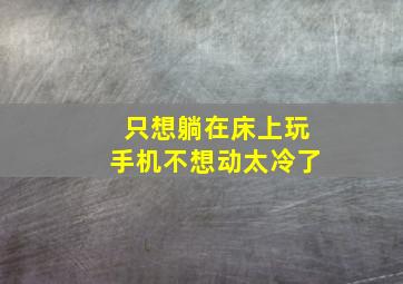 只想躺在床上玩手机不想动太冷了