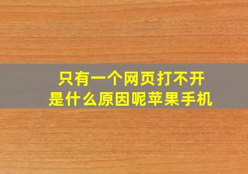 只有一个网页打不开是什么原因呢苹果手机