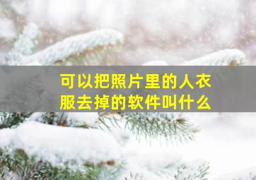 可以把照片里的人衣服去掉的软件叫什么