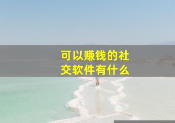 可以赚钱的社交软件有什么