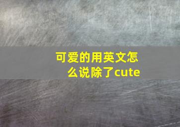 可爱的用英文怎么说除了cute