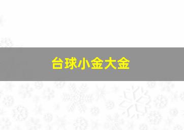 台球小金大金