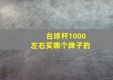 台球杆1000左右买哪个牌子的