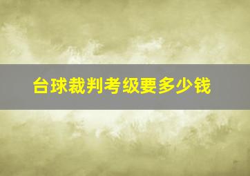 台球裁判考级要多少钱