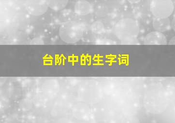 台阶中的生字词