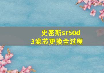 史密斯sr50d3滤芯更换全过程