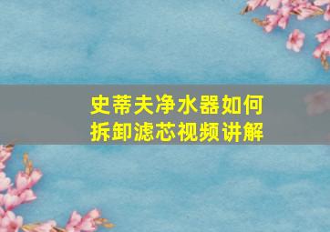 史蒂夫净水器如何拆卸滤芯视频讲解