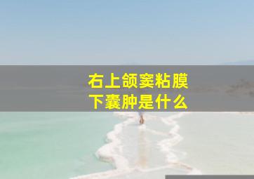 右上颌窦粘膜下囊肿是什么