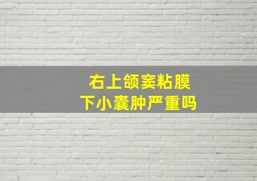 右上颌窦粘膜下小囊肿严重吗