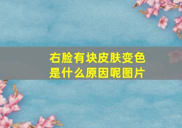 右脸有块皮肤变色是什么原因呢图片