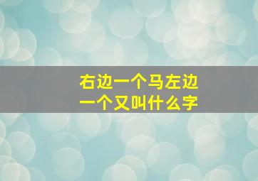 右边一个马左边一个又叫什么字