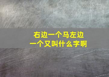 右边一个马左边一个又叫什么字啊