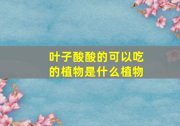 叶子酸酸的可以吃的植物是什么植物