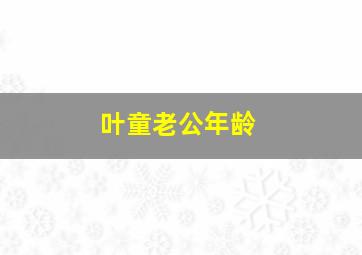 叶童老公年龄