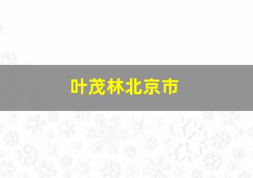 叶茂林北京市