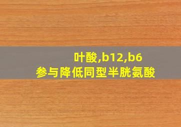 叶酸,b12,b6参与降低同型半胱氨酸