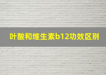 叶酸和维生素b12功效区别