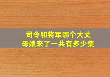 司令和将军哪个大丈母娘来了一共有多少集