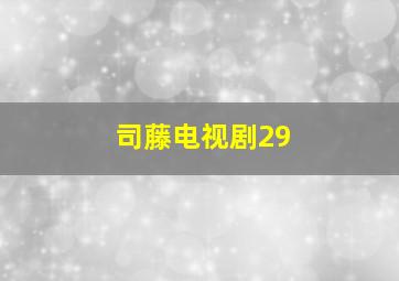 司藤电视剧29