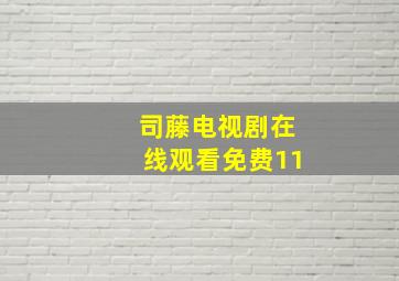 司藤电视剧在线观看免费11