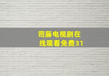 司藤电视剧在线观看免费31