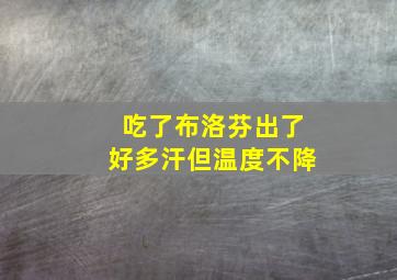 吃了布洛芬出了好多汗但温度不降