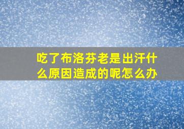 吃了布洛芬老是出汗什么原因造成的呢怎么办