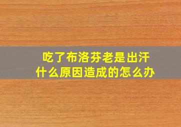 吃了布洛芬老是出汗什么原因造成的怎么办