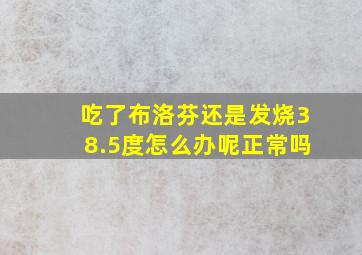 吃了布洛芬还是发烧38.5度怎么办呢正常吗