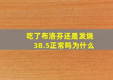 吃了布洛芬还是发烧38.5正常吗为什么