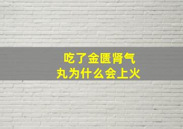 吃了金匮肾气丸为什么会上火