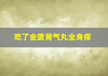 吃了金匮肾气丸全身痒