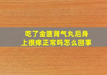 吃了金匮肾气丸后身上很痒正常吗怎么回事