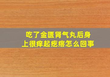 吃了金匮肾气丸后身上很痒起疙瘩怎么回事